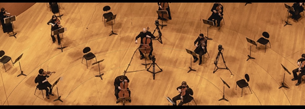 Orchestra