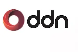 DDNlogog