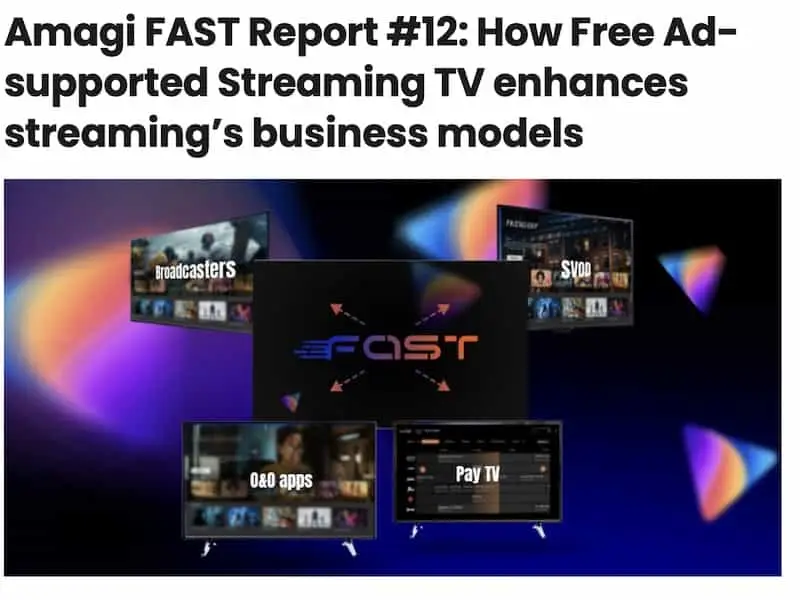 AmagiFastReport