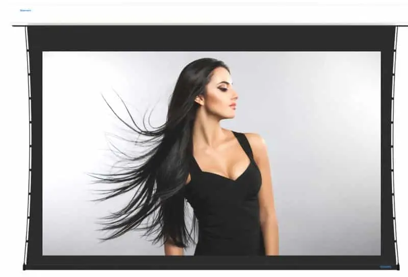 Stewart Filmscreen per le proiezioni.